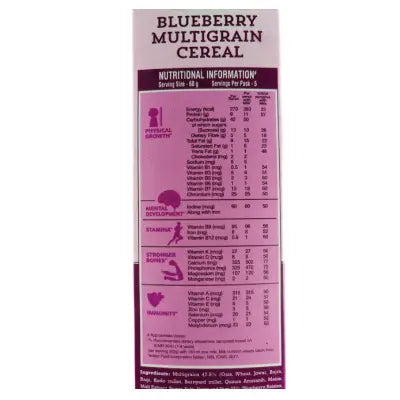 Manna CRUNCHIES FRUIT & NUT BLUE BERRY-300g (Pack of 2)