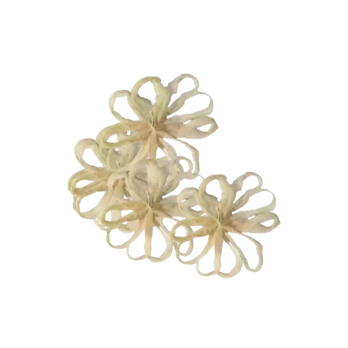 LOTUS STEM WICKS (THAMARAI THANTU THIRI) 1 PCS