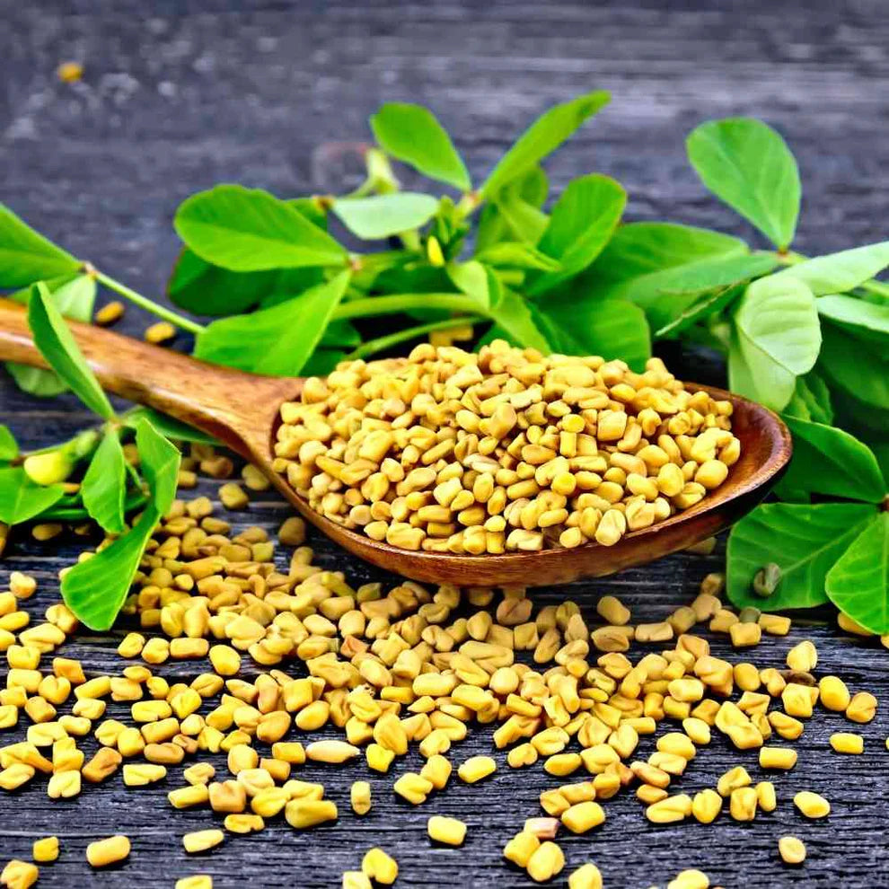 SWAAD FENUGREEK SEEDS (METHI)100gms